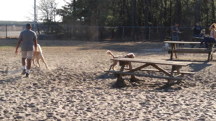 Ocean County Off Leash Dog Area 6