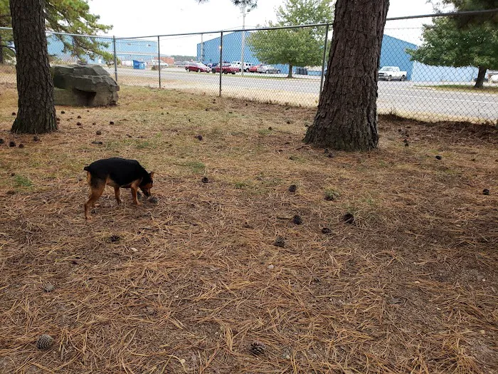 Ocean County Off Leash Dog Area 8