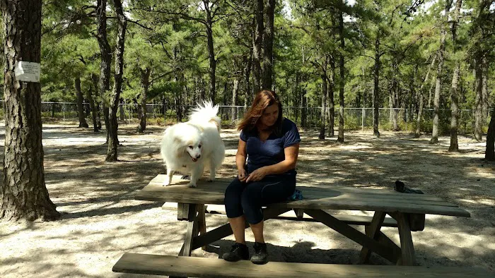 Ocean County Off Leash Dog Area 4