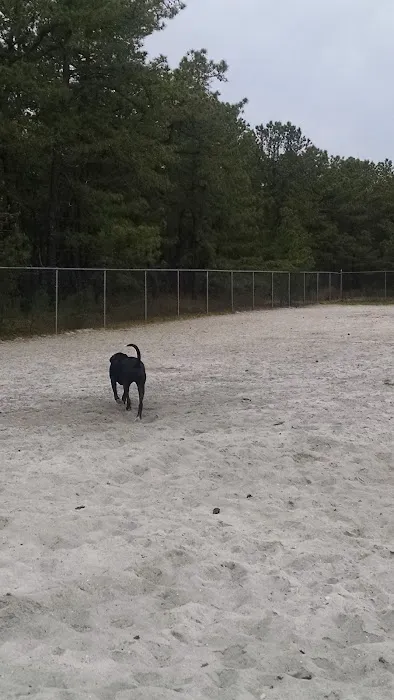 Ocean County Off Leash Dog Area 9