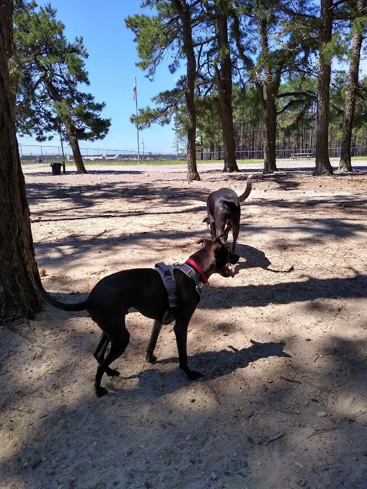 Ocean County Off Leash Dog Area 7
