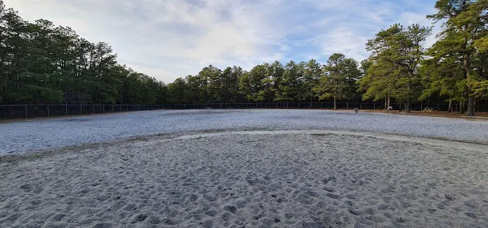Robert J. Miller County Airpark & Off-Leash Dog Facility 7