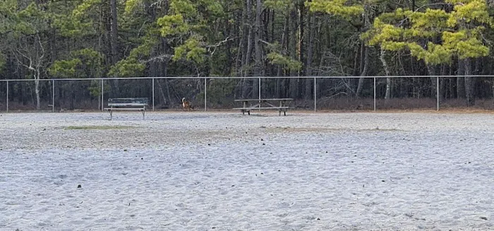 Robert J. Miller County Airpark & Off-Leash Dog Facility 8