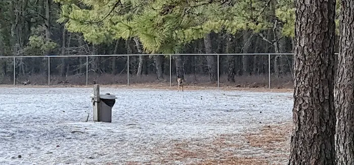 Robert J. Miller County Airpark & Off-Leash Dog Facility 9