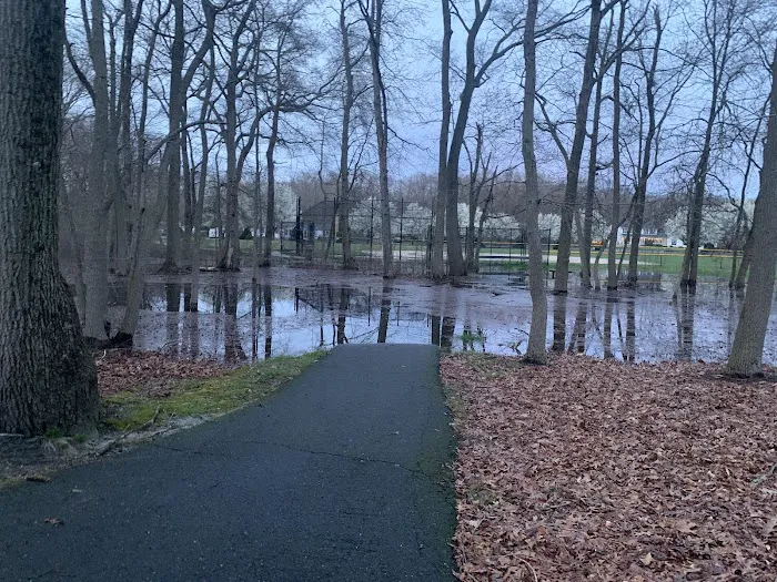 Nash Dog Park 2