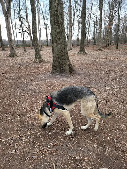 Nash Dog Park 4