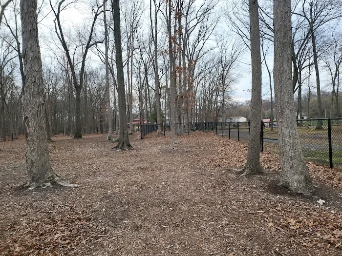 Nash Dog Park 5