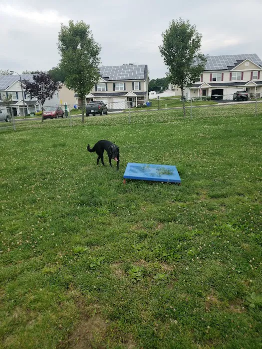 Falcon Courts North Dog Park 1