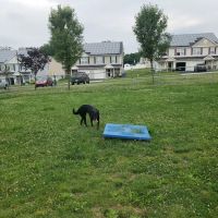 Falcon Courts North Dog Park ico