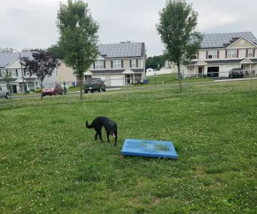 Falcon Courts North Dog Park