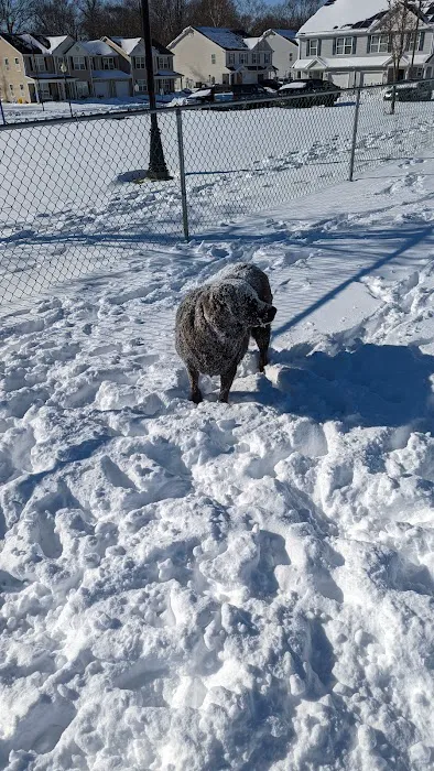 Falcon Courts North Dog Park 4