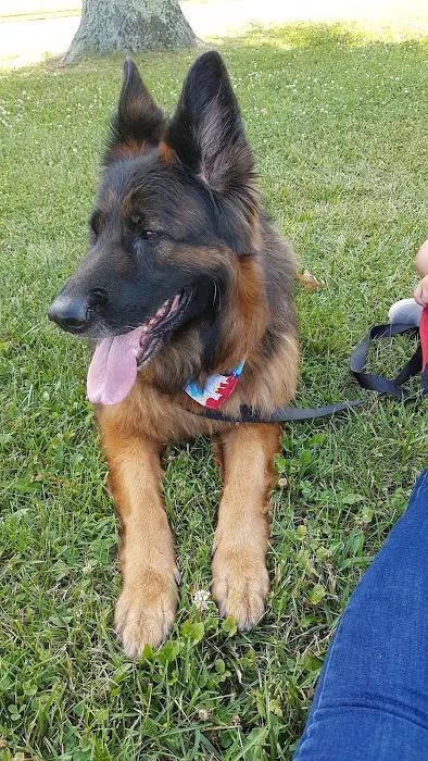 Falcon Courts North Dog Park 3