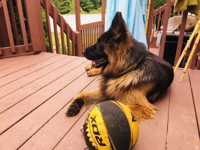 Falcon Courts North Dog Park 9