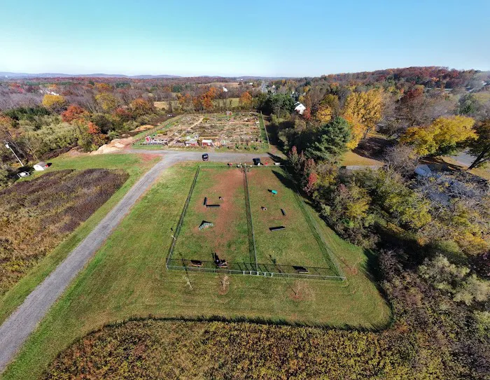 Bundt Park - Dog Park 3