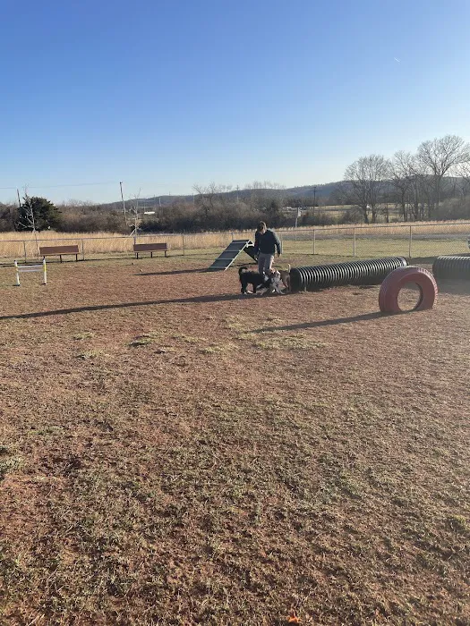 Bundt Park - Dog Park 6