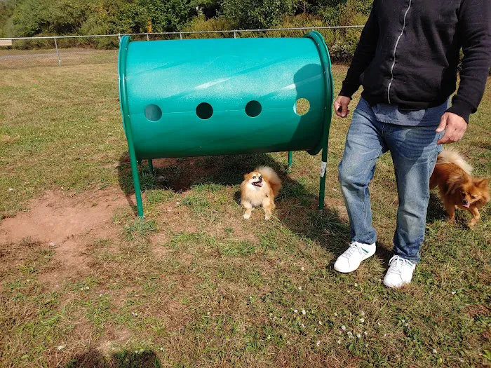 Bundt Park - Dog Park 10
