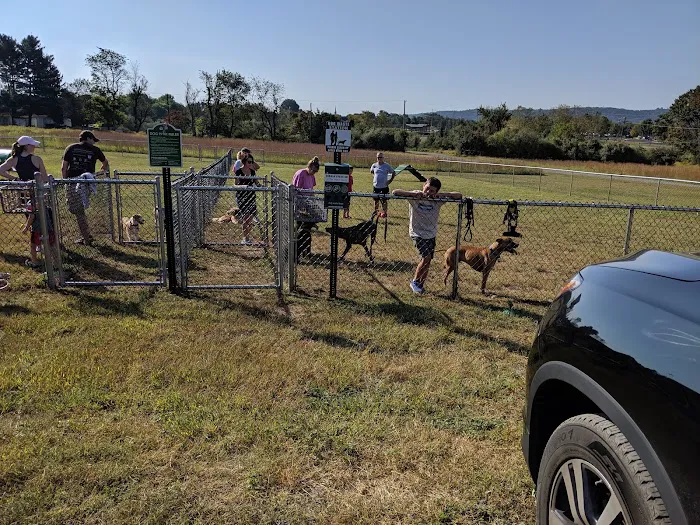 Bundt Park - Dog Park 4