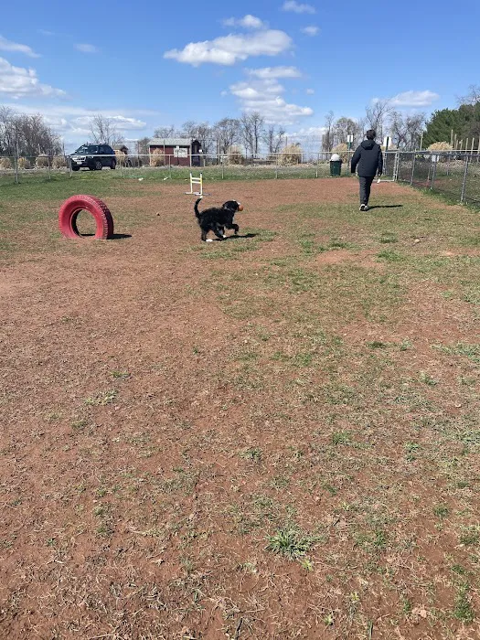Bundt Park - Dog Park 8