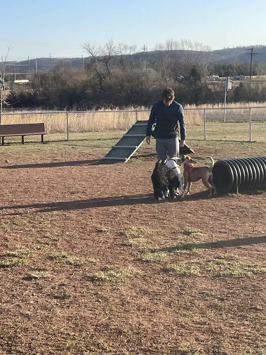 Bundt Park - Dog Park 7