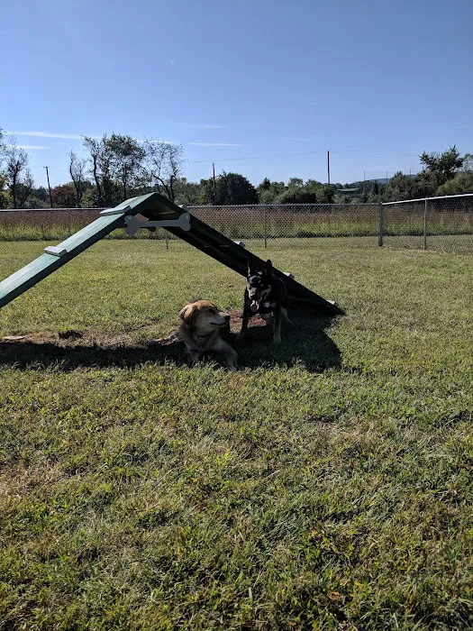 Bundt Park - Dog Park 9