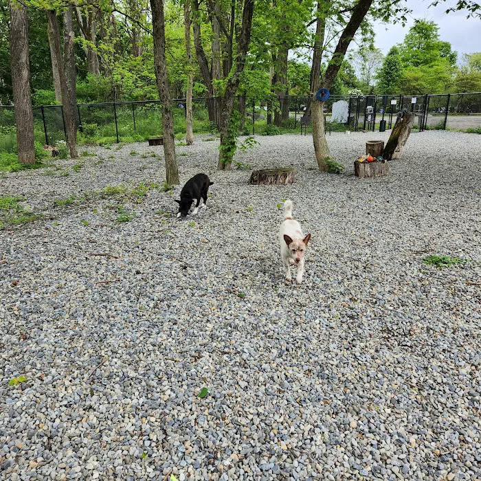 High Bridge Dog Park 9