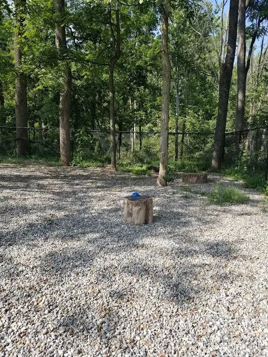 High Bridge Dog Park 4