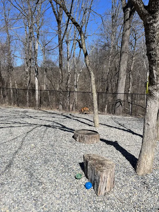 High Bridge Dog Park 8