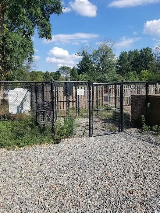 High Bridge Dog Park 1