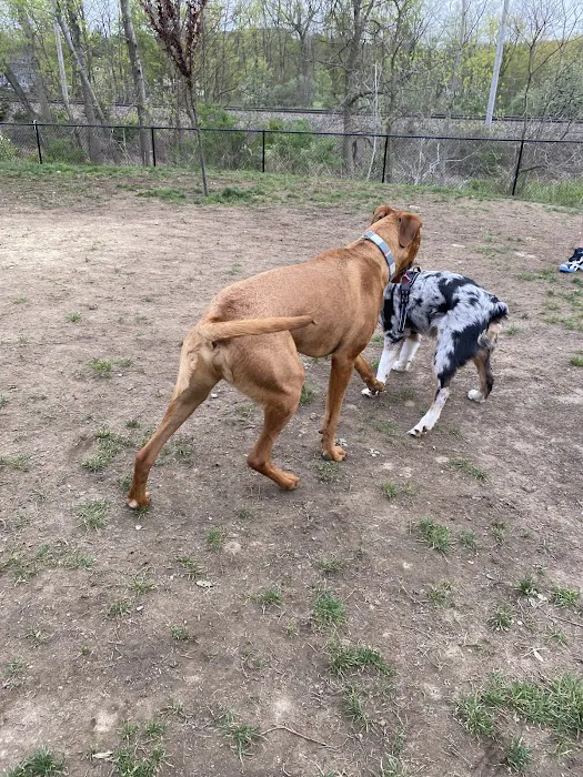 Wharton Dog Park 8