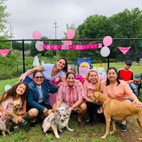 Wharton Dog Park ico