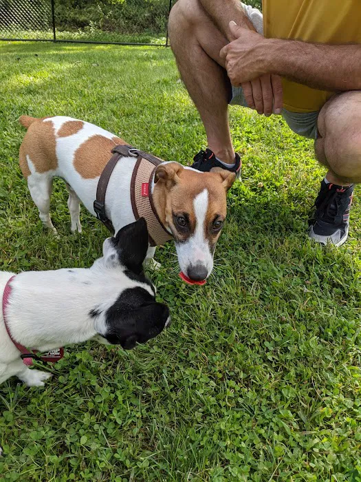 Wharton Dog Park 4