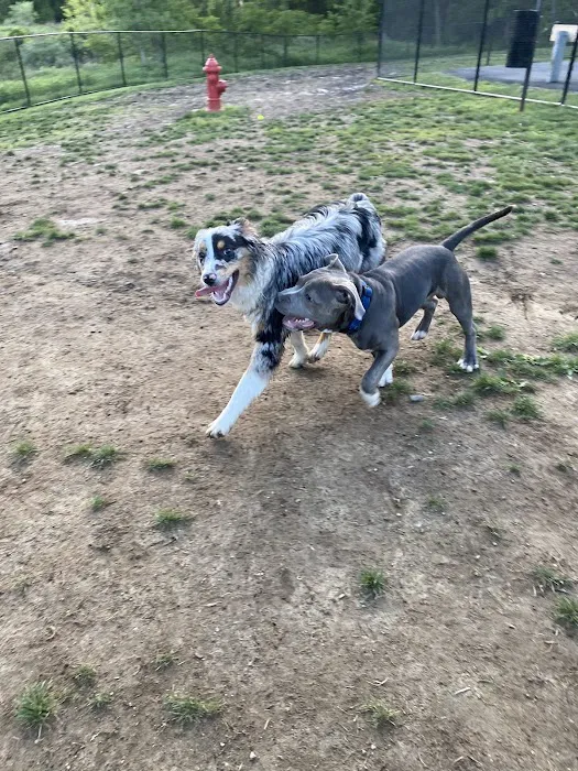 Wharton Dog Park 6