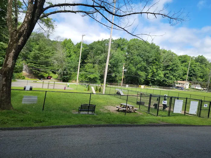 Jefferson Field Dog Park 1