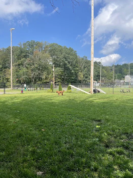 Jefferson Field Dog Park 4