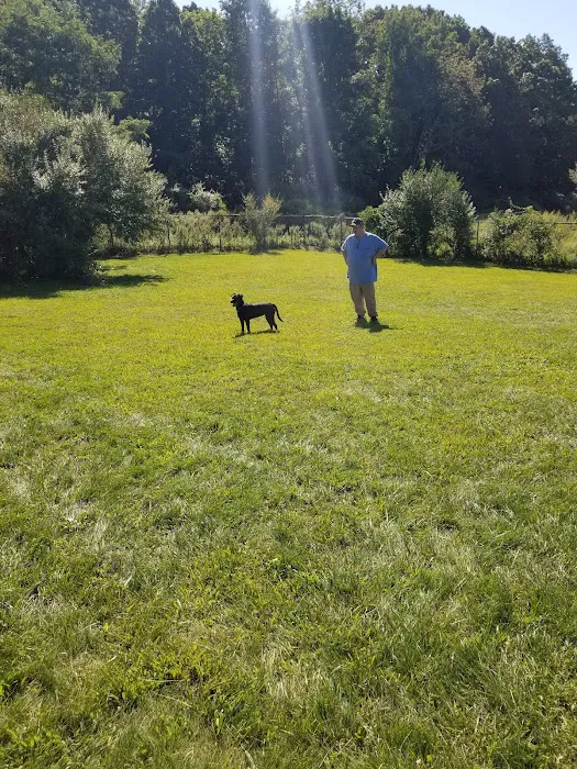 Dog Park at Turkey Brook 10