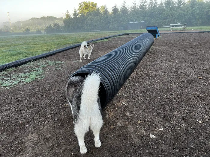 Dog Park at Turkey Brook 4