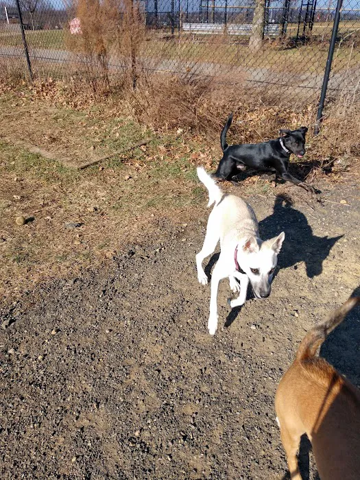 Dog Park at Turkey Brook 2