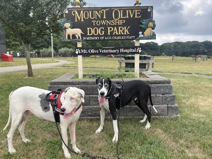 Dog Park at Turkey Brook 8