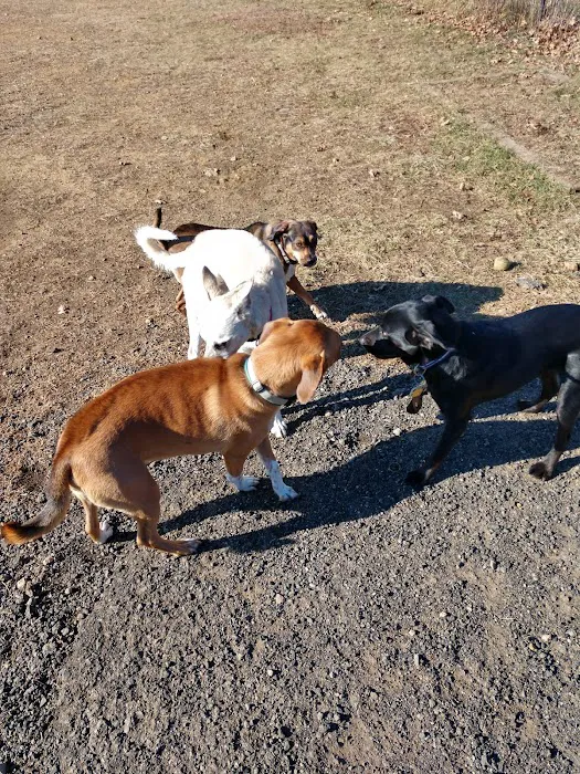 Dog Park at Turkey Brook 1