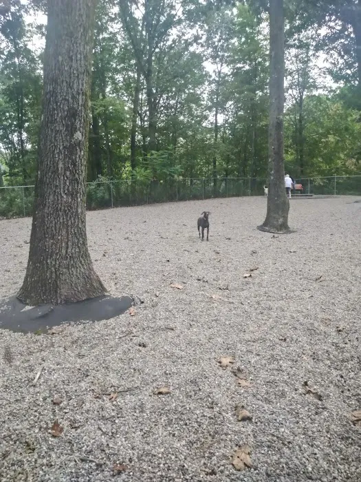 Jefferson Dogpark 1