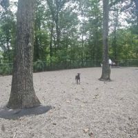 Jefferson Dogpark ico