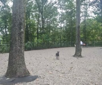 Jefferson Dogpark