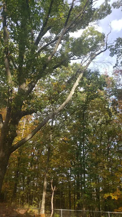 Jefferson Dogpark 8