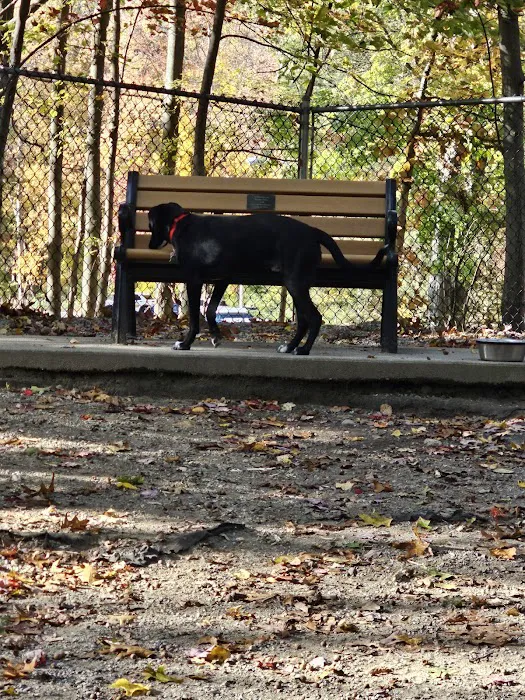 Jefferson Dogpark 6