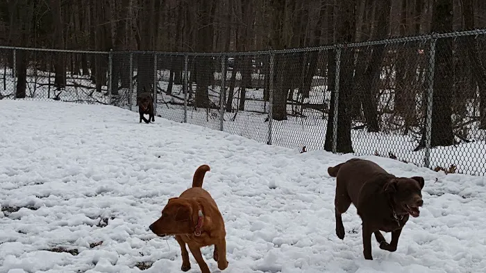 Jefferson Dogpark 4