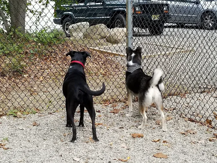Jefferson Dogpark 10