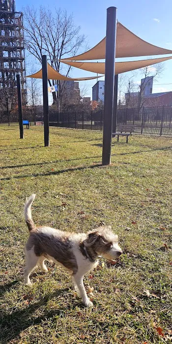 Hero Dog Park 2