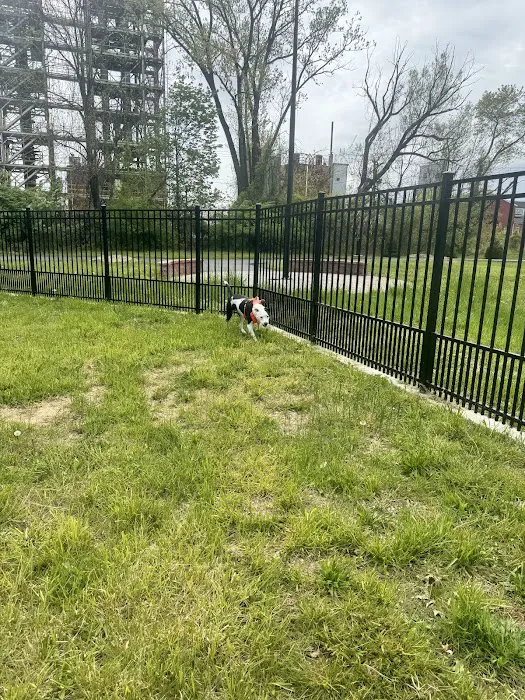 Hero Dog Park 6