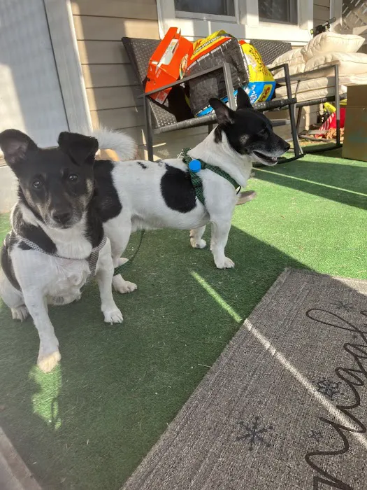 Hero Dog Park 10