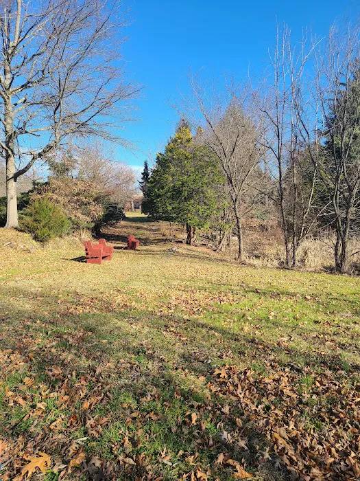 Morrisville Dog Park 6